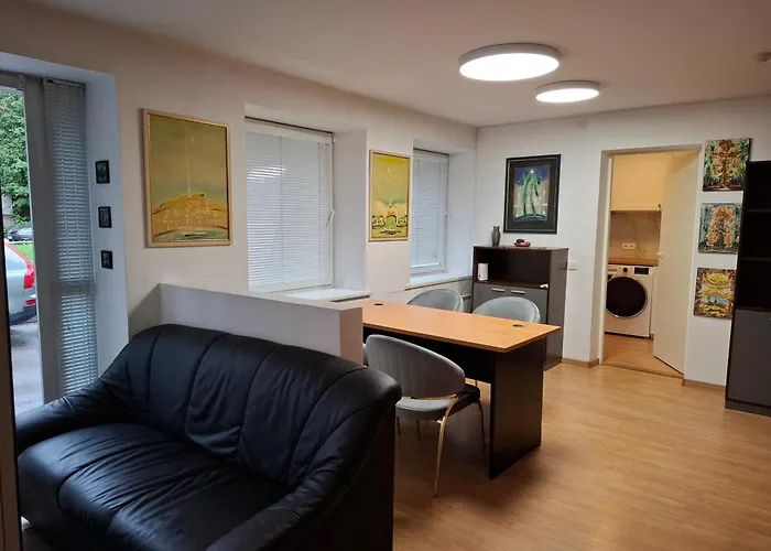 Galerijos Apartamentai 公寓 *