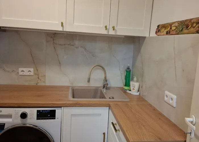 Galerijos Apartamentai 公寓 克莱佩达