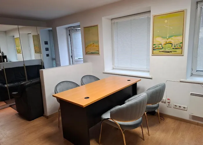 公寓 Galerijos Apartamentai